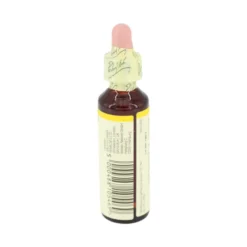 BACHBLÜTEN Gorse Tropfen 20 ml