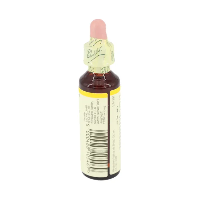 BACHBLÜTEN Gorse Tropfen 20 ml