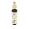 BACHBLÜTEN Heather Tropfen 20 ml
