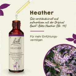 BACHBLÜTEN Heather Tropfen 20 ml