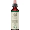 BACHBLÜTEN Holly Tropfen 20 ml