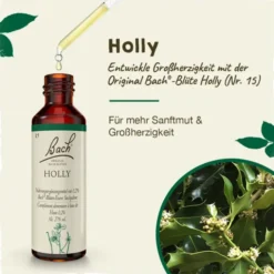 BACHBLÜTEN Holly Tropfen 20 ml