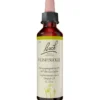 BACHBLÜTEN Honeysuckle Tropfen 20 ml
