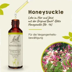 BACHBLÜTEN Honeysuckle Tropfen 20 ml