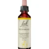 BACHBLÜTEN Hornbeam Tropfen 20 ml