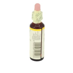 BACHBLÜTEN Hornbeam Tropfen 20 ml