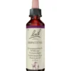 BACHBLÜTEN Impatiens Tropfen 20 ml