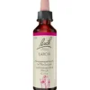BACHBLÜTEN Larch Tropfen 20 ml