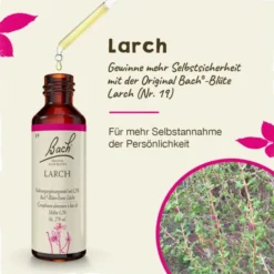 BACHBLÜTEN Larch Tropfen 20 ml