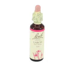 BACHBLÜTEN Larch Tropfen 20 ml