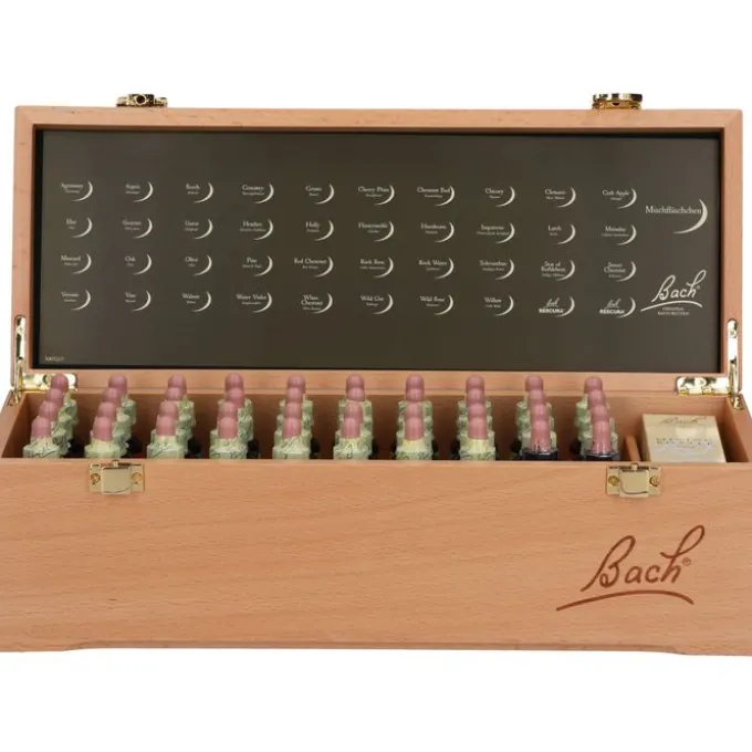 BACHBLÜTEN 20 ml Set Tropfen 800 ml