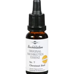 BACHBLÜTEN Murnauer Chestnut Bud Tropfen 20 ml