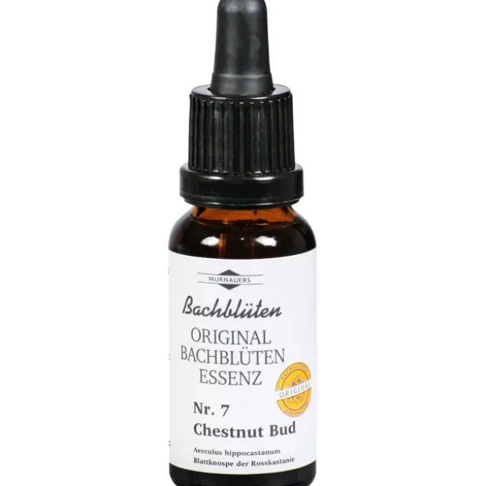BACHBLÜTEN Murnauer Chestnut Bud Tropfen 20 ml