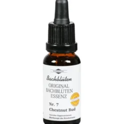 BACHBLÜTEN Murnauer Chestnut Bud Tropfen 20 ml