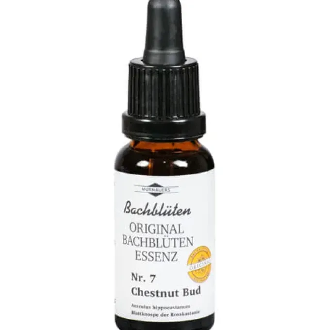 BACHBLÜTEN Murnauer Chestnut Bud Tropfen 20 ml