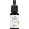 BACHBLÜTEN Murnauer Hornbeam Tropfen 20 ml