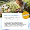 BACHBLÜTEN Murnauers Du schaffst das Bonbons 50 g