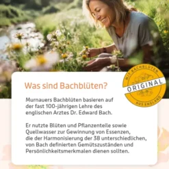 BACHBLÜTEN Murnauers Konzentrier Dich Globulini 10 g