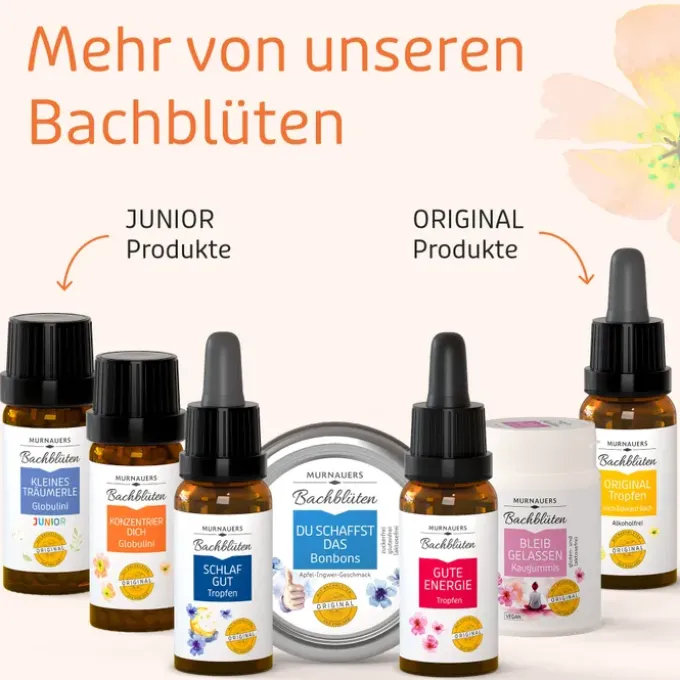 BACHBLÜTEN Murnauers Konzentrier Dich Globulini 10 g