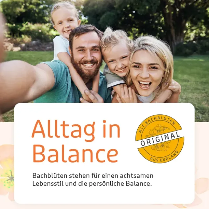 BACHBLÜTEN Murnauers Konzentrier Dich Globulini 10 g