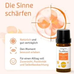 BACHBLÜTEN Murnauers Konzentrier Dich Globulini 10 g