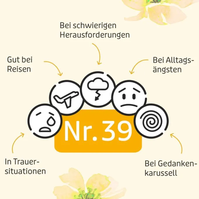BACHBLÜTEN Murnauers Original Tropfen 10 ml