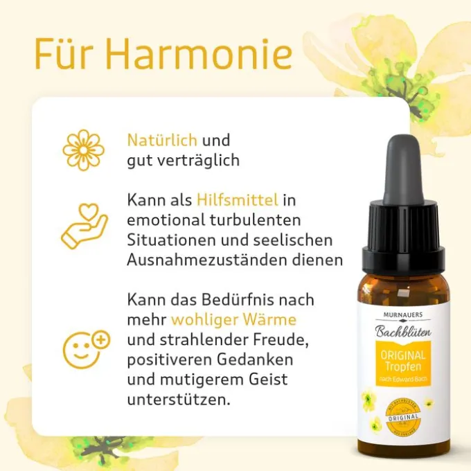 BACHBLÜTEN Murnauers Original Tropfen 10 ml