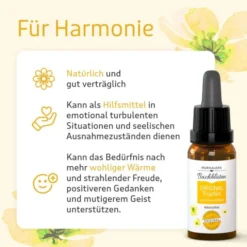 BACHBLÜTEN Murnauers Original Tropfen ohne Alkohol 20 ml