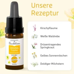 BACHBLÜTEN Murnauers Original Junior Tropfen 10 ml