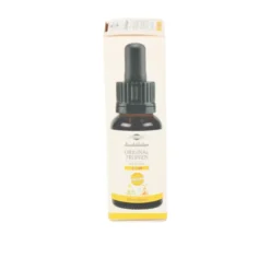 BACHBLÜTEN Murnauers Original Junior Tropfen 10 ml