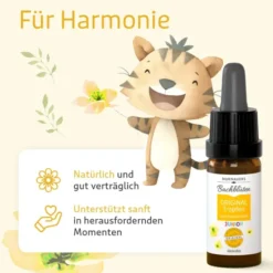 BACHBLÜTEN Murnauers Original Junior Tropfen 10 ml