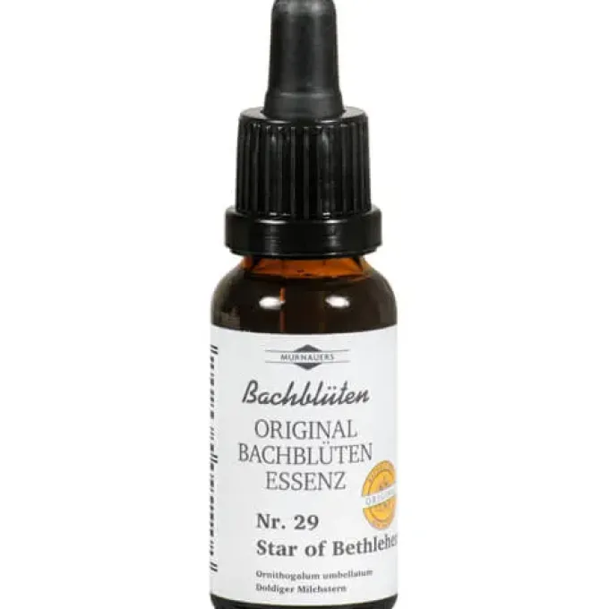 BACHBLÜTEN Murnauer Star of Bethlehem Tropfen 20 ml