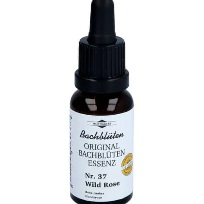 BACHBLÜTEN Murnauer Wild Rose Tropfen 20 ml