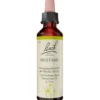 BACHBLÜTEN Mustard Tropfen 20 ml
