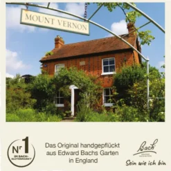 BACHBLÜTEN Mustard Tropfen 20 ml