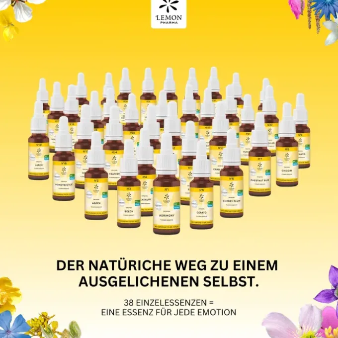 BACHBLÜTEN No.11 Elm Bio 20 ml