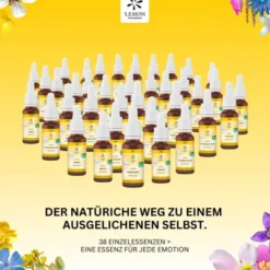 BACHBLÜTEN No.17 Hornbeam Bio 20 ml