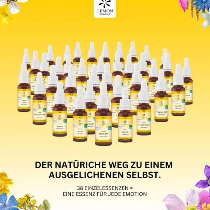BACHBLÜTEN No.17 Hornbeam Bio 20 ml