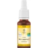 BACHBLÜTEN No.25 Red Chestnut Bio 20 ml