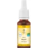 BACHBLÜTEN No.33 Walnut Bio 20 ml