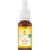 BACHBLÜTEN No.36 Wild Oat Bio 20 ml