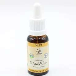BACHBLÜTEN No.37 Wild Rose Bio 20 ml