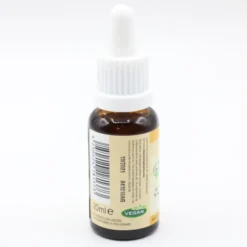 BACHBLÜTEN No.37 Wild Rose Bio 20 ml