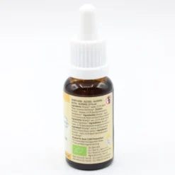 BACHBLÜTEN No.37 Wild Rose Bio 20 ml