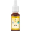 BACHBLÜTEN No.38 Willow Bio 20 ml