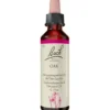 BACHBLÜTEN Oak Tropfen 20 ml