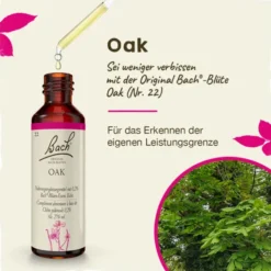 BACHBLÜTEN Oak Tropfen 20 ml