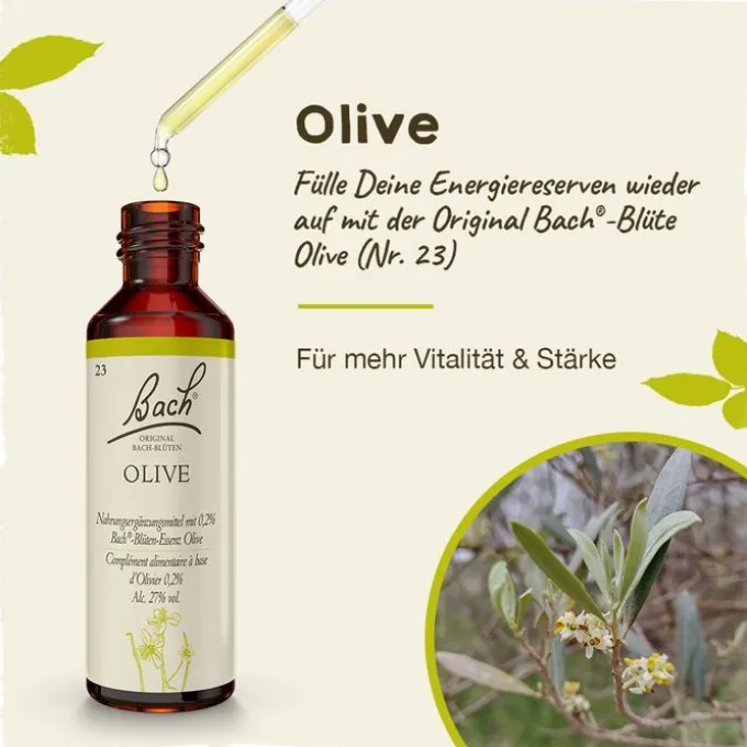 BACHBLÜTEN Olive Tropfen 20 ml