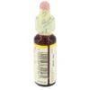 BACHBLÜTEN Original 17 Hornbeam Tropfen 10 ml