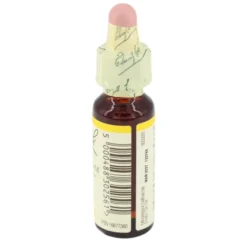 BACHBLÜTEN Original 17 Hornbeam Tropfen 10 ml